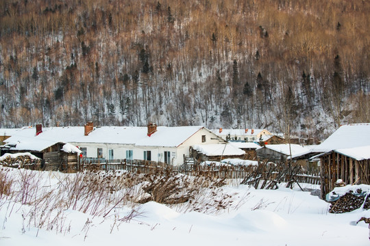 雪里村庄