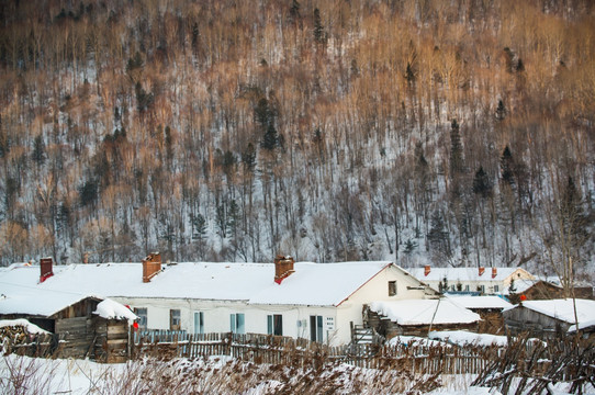 雪村