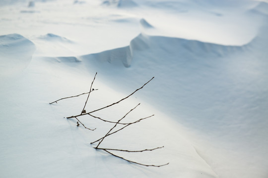 雪景