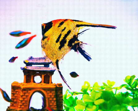 裝飾畫 燕魚