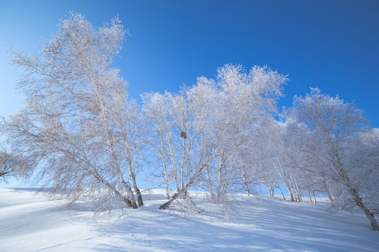 冬雪雾凇