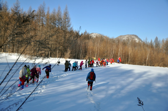 雪地风光