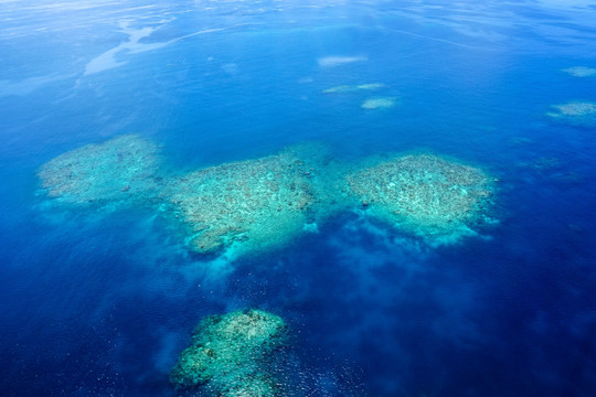 海洋浅海珊瑚礁