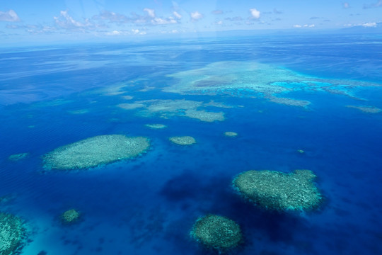 海洋浅海珊瑚礁