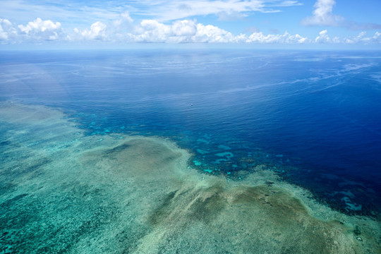 海洋浅海珊瑚礁