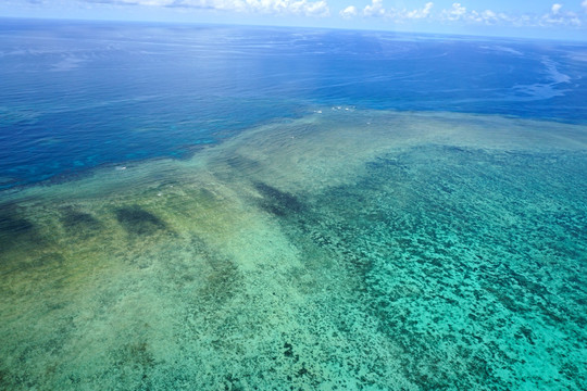 海洋浅海珊瑚礁