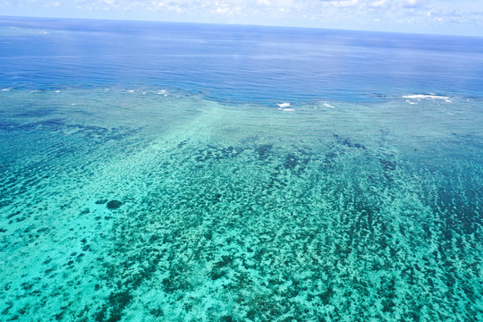 海洋浅海珊瑚礁