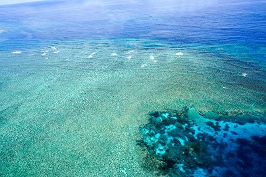 海洋浅海珊瑚礁