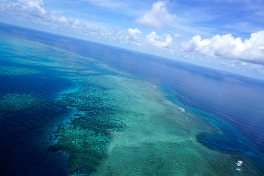 海洋浅海珊瑚礁