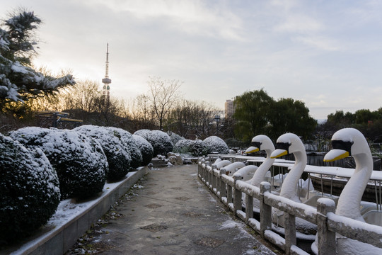 雪后 （10）