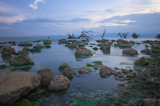 湿地风光