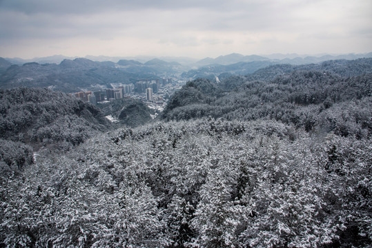 桃花源森林公园