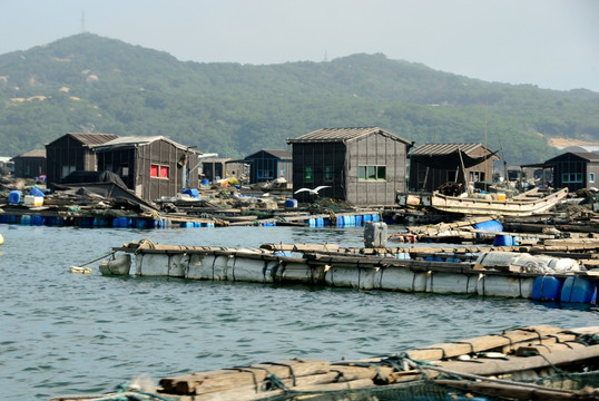 海上人家 渔业渔民