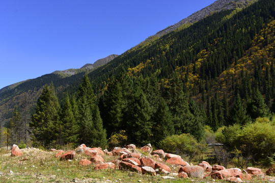 黑水达古冰山 情人滩红石山坡