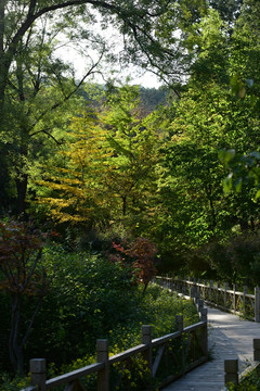 上山道