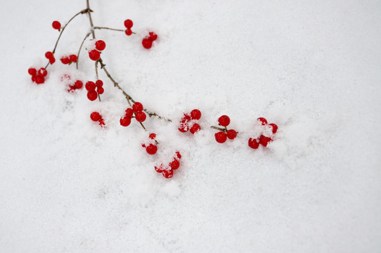 雪