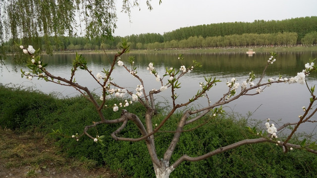 大运河森林公园