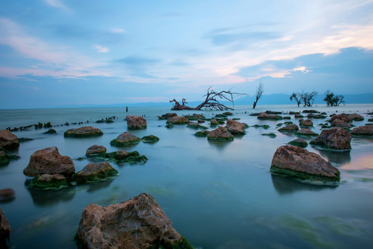 湿地风光