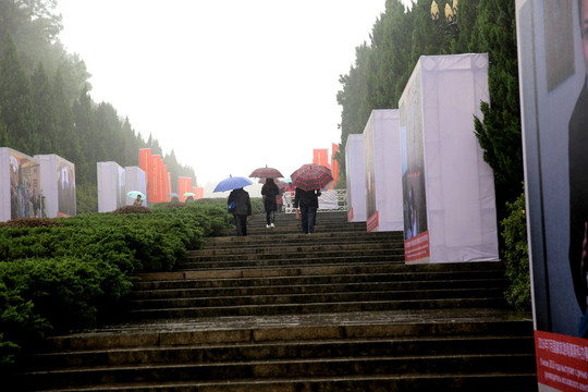 雨中景区行