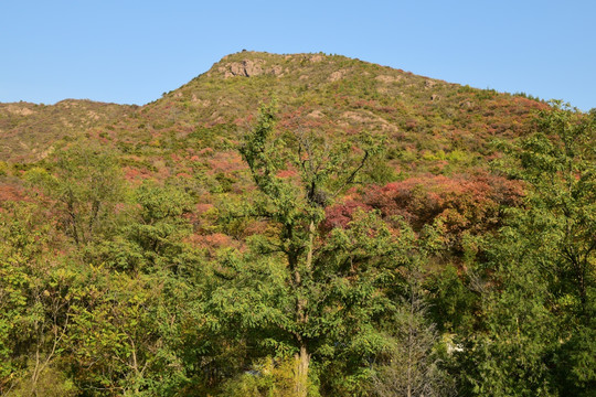 山峦秋色