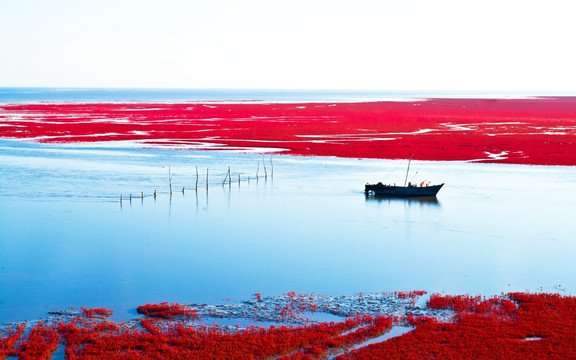 红海滩 盘锦 小船