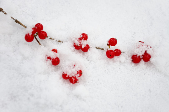 雪