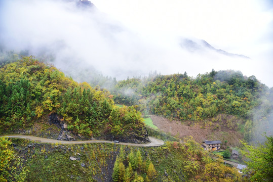 乡村风光