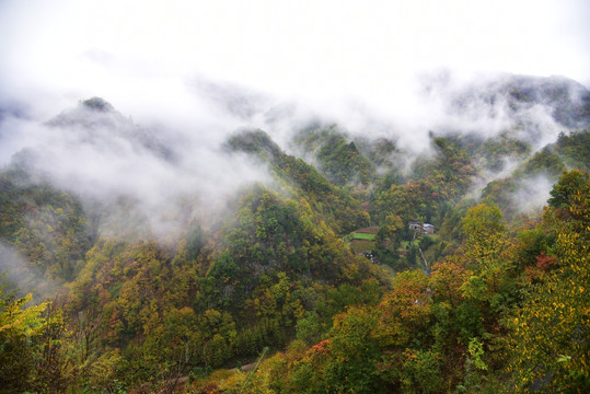 乡村风光