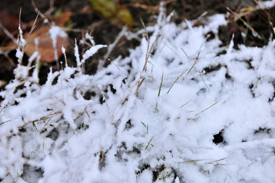 雪  积雪