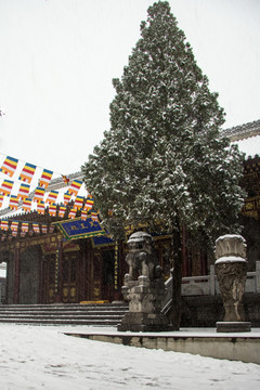 香积寺雪中天王殿