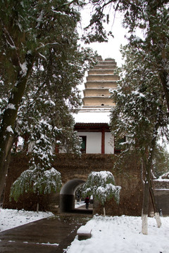 小雁塔雪景