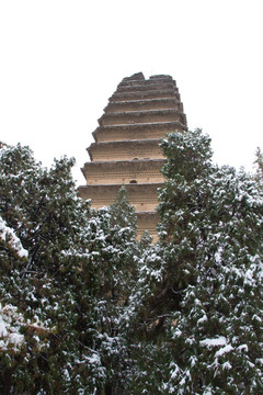 小雁塔雪景