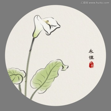 語花系列馬蹄蓮