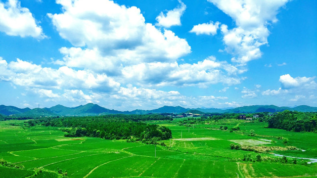 原野