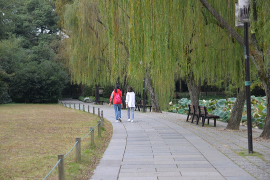 西湖旅游