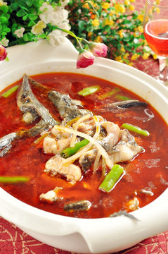 红汤盆盆鲟鱼