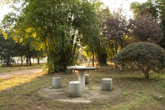 公園里的石桌和石凳