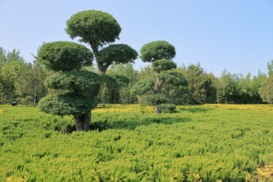 掖縣公園