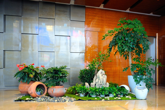 室内植物景观设计