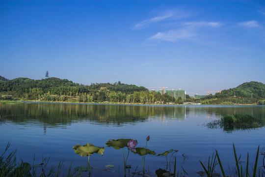 尖山湖公园