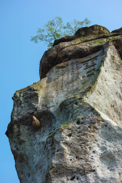 柯岩