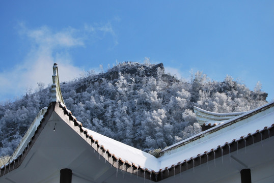 茶山竹海