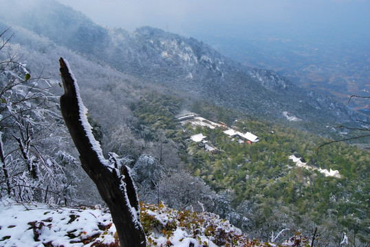 茶山竹海