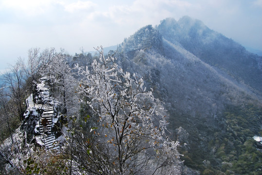 茶山竹海