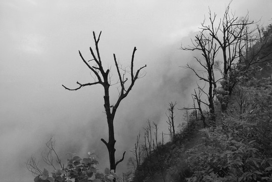 烟雨箕山