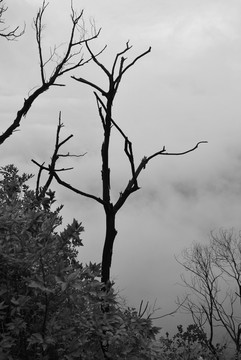 烟雨箕山