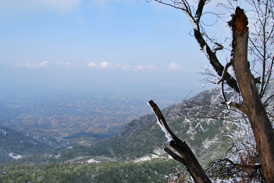 茶山竹海