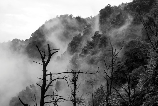 烟雨箕山