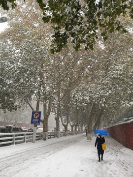 雪景 下雪