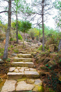 山路 石阶